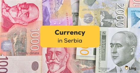 serbian currency to pkr