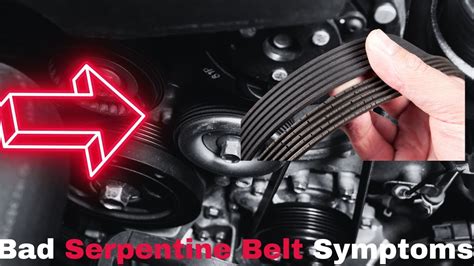 serpentine belt problems symptoms PDF