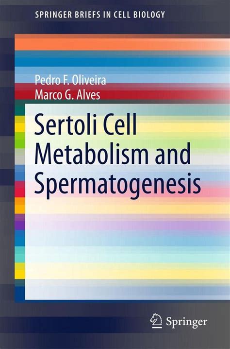 sertoli metabolism spermatogenesis springerbriefs biology Epub