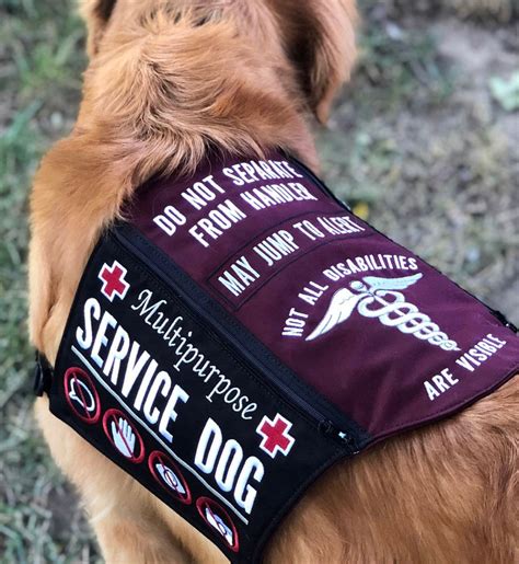 service dog how much