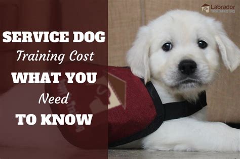 service dog training cost