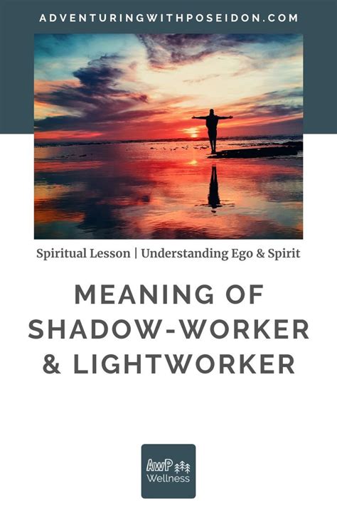 shadow of understanding Epub