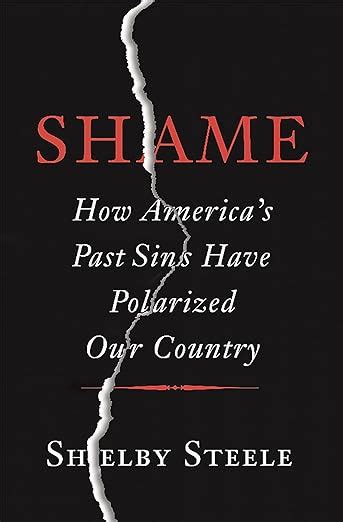 shame how america’s past sins have polarized our country PDF
