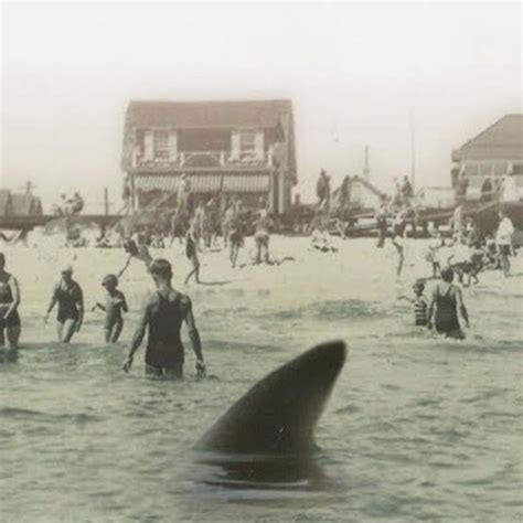 shark attack nj 1916