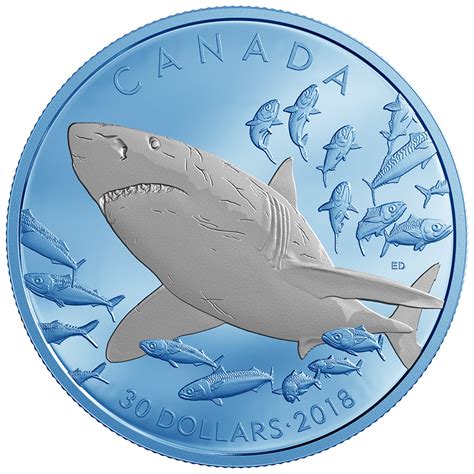 shark coin