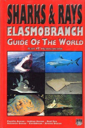 sharks and rays elasmobranch guide of the world Epub