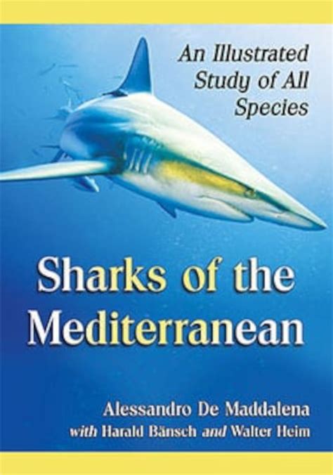 sharks mediterranean illustrated study species PDF