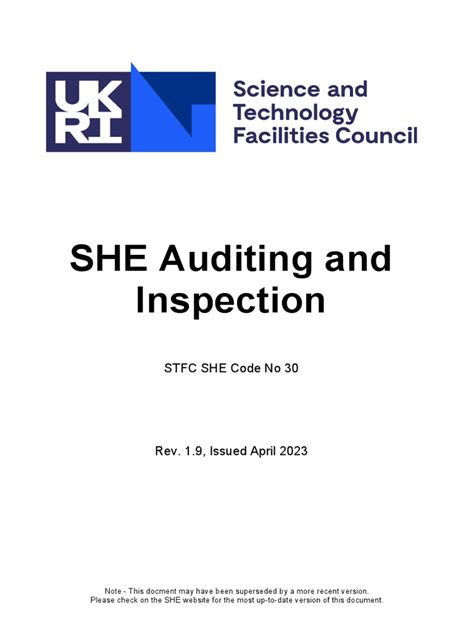 she audit & consulting pte ltd