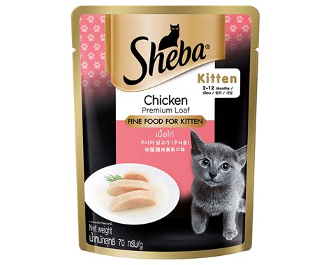 sheba kitten food