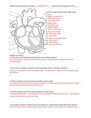 sheep heart dissection lab answers key Reader