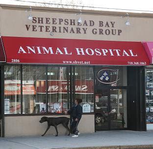 sheepshead bay veterinary group