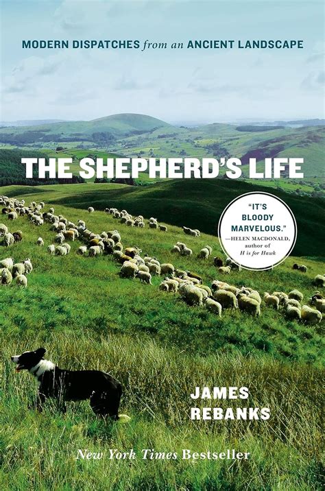 shepherds life dispatches landscape nonfiction Kindle Editon