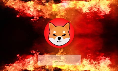 shib burning news