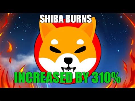 shiba burns