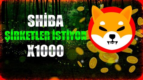 shiba coin tl