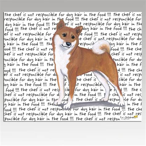 shiba inu message board