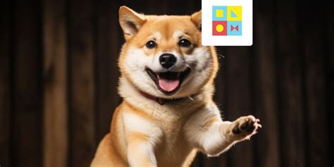 shiba inu nieuws