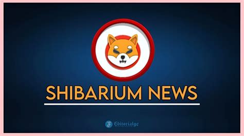 shibarium news