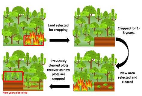shifting cultivation and environmental PDF
