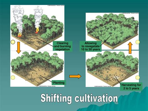 shifting cultivation and environmental PDF