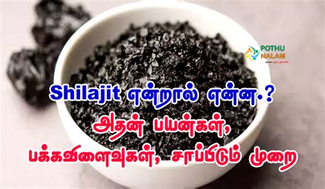 shilajit in tamil