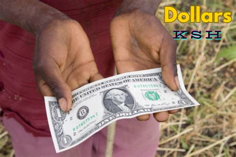 shilling currency to usd