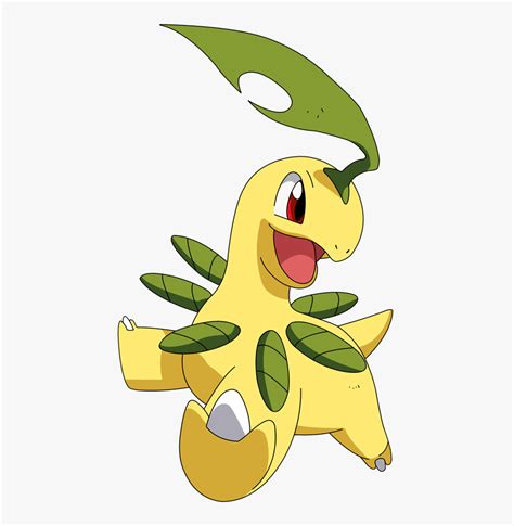 shiny bayleef