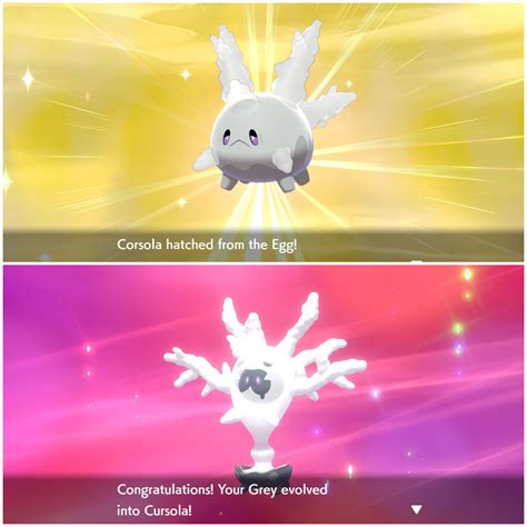 shiny corsola