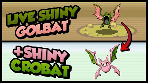 shiny golbat chances