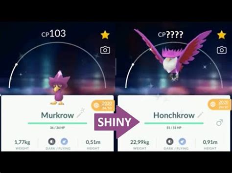 shiny murkrow evolution