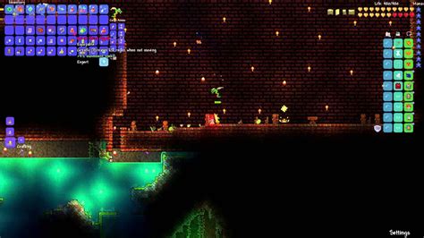 shiny stone terraria