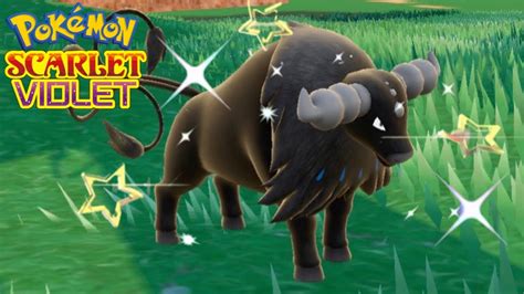 shiny tauros violet