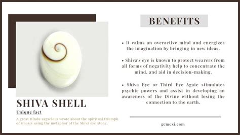 shiva shell meaning