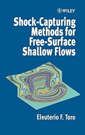 shock capturing methods free surface shallow flows Ebook Epub