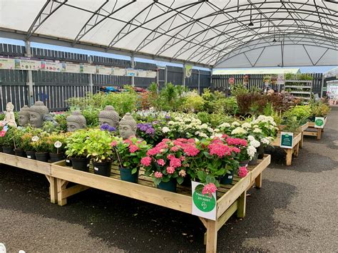 shop panpit garden centre Epub