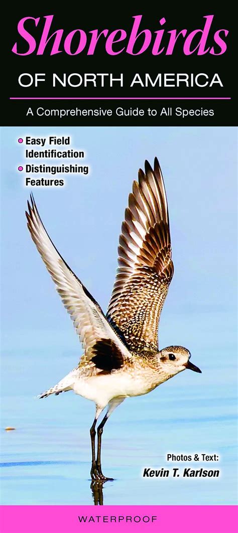 shorebirds of north america a comprehensive guide to all species Kindle Editon