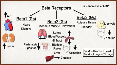 short acting beta-adrenergic