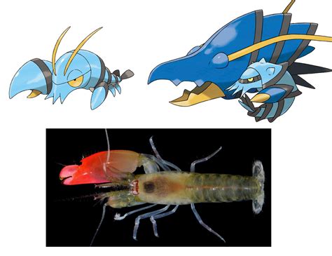 shrimp pokemon