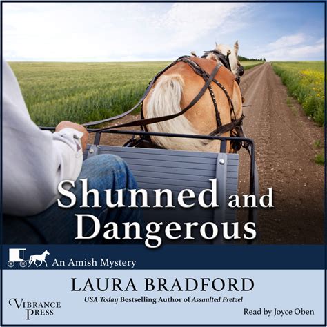 shunned and dangerous an amish mystery PDF