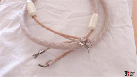 shunyata andromeda constellation series speaker cables reviews Reader