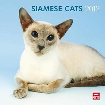 siamese cats 2013 square 12x12 wall calendar multilingual edition Epub