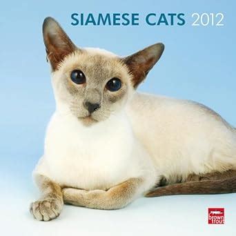 siamese cats 2015 square 12x12 multilingual edition PDF
