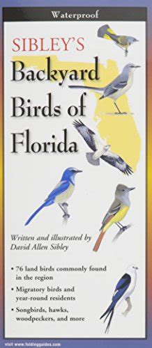 sibleys back birds of florida foldingguides PDF