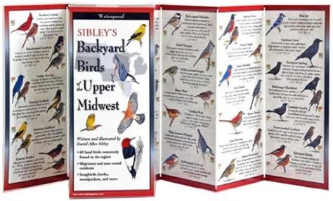 sibleys backyard birds of the upper midwest Kindle Editon