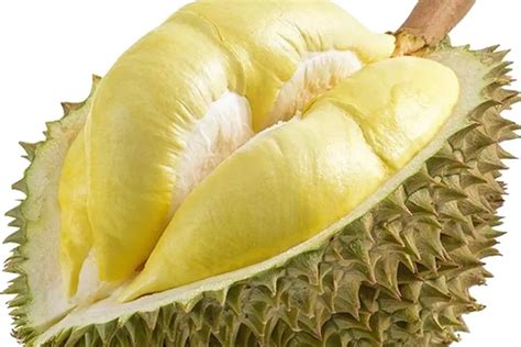 side effects of eating durian fruit