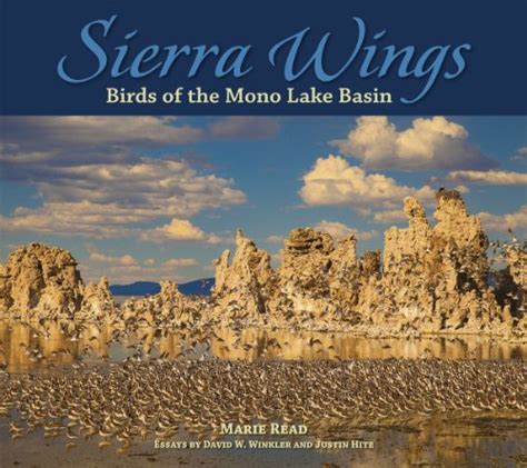 sierra wings birds of the mono lake basin companion press series Epub