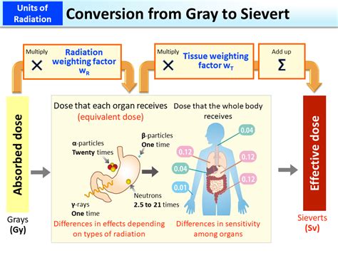 sievert vs gray