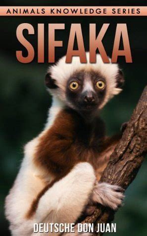 sifaka beautiful pictures interesting knowledge Reader