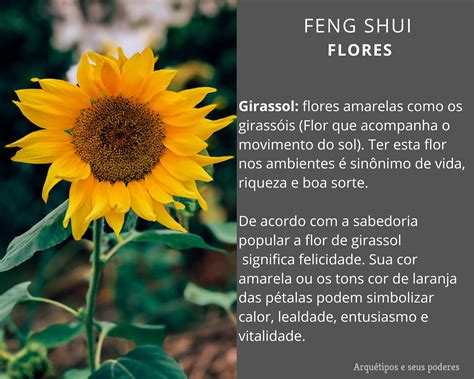 significado da flor girassol