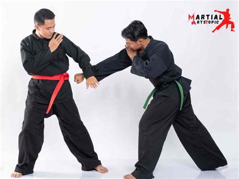 silat martial art manual Ebook Kindle Editon